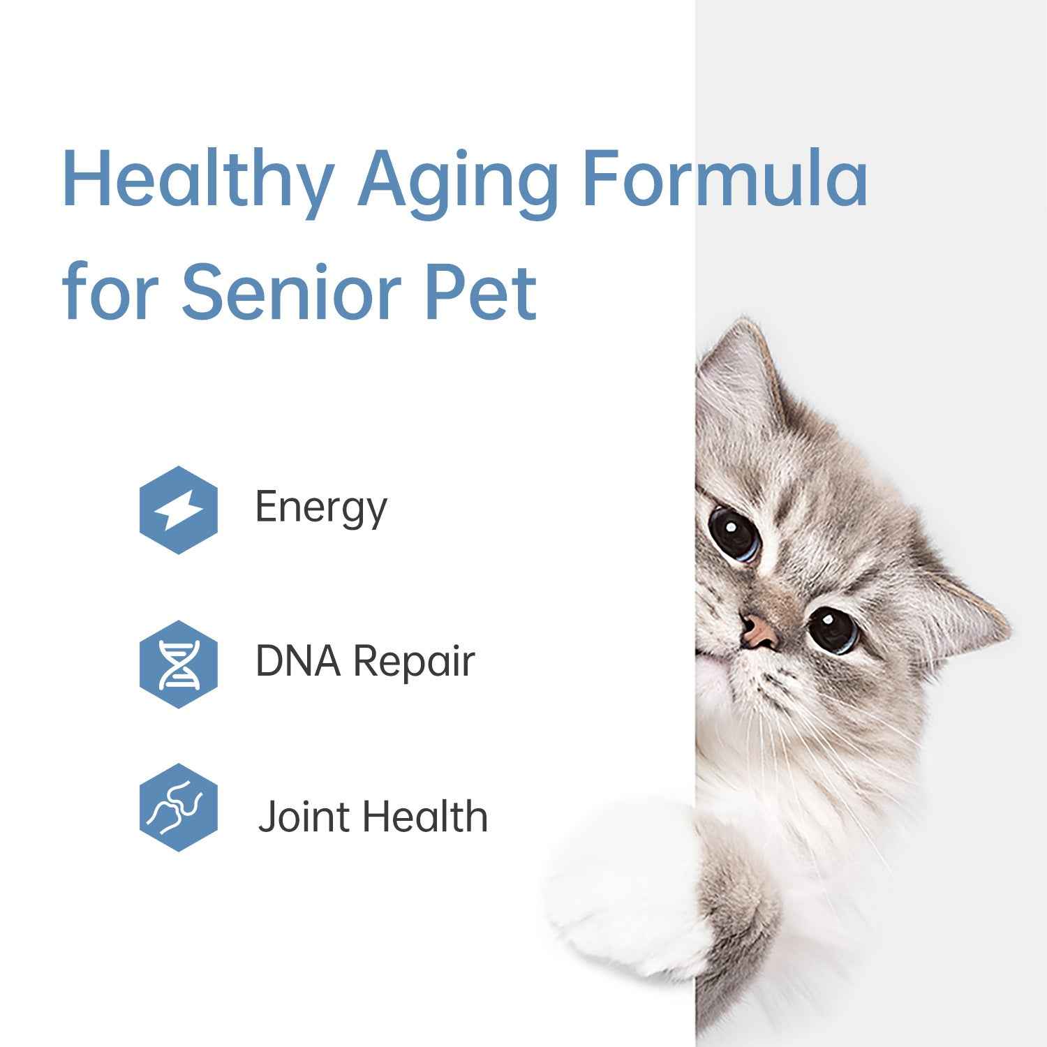 Celfull NAD+ Supplement for Dogs&Cats-Cellular Health & Vitality Support-Promotes Energy,Healthy Aging