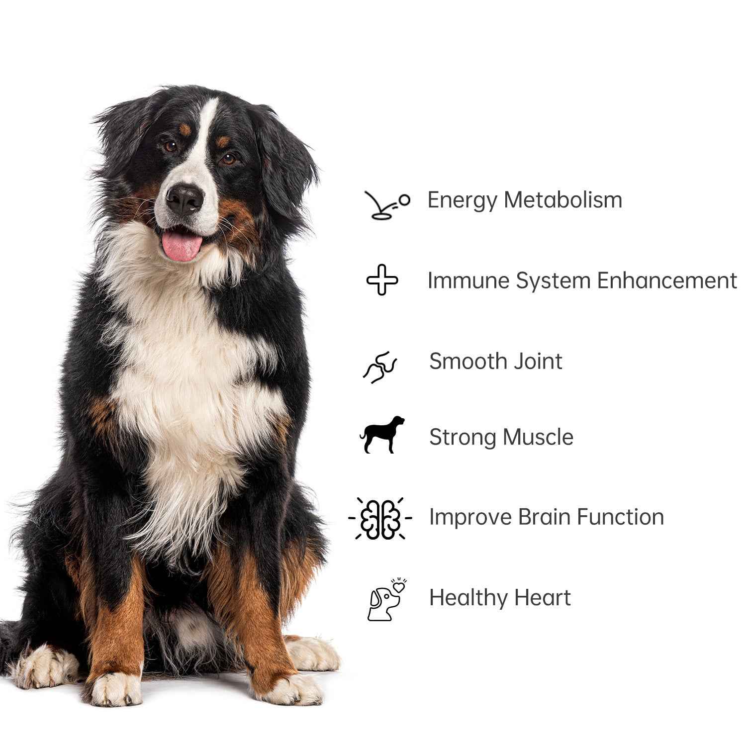Celfull NAD+ Supplement for Dogs&Cats-Cellular Health & Vitality Support-Promotes Energy,Healthy Aging