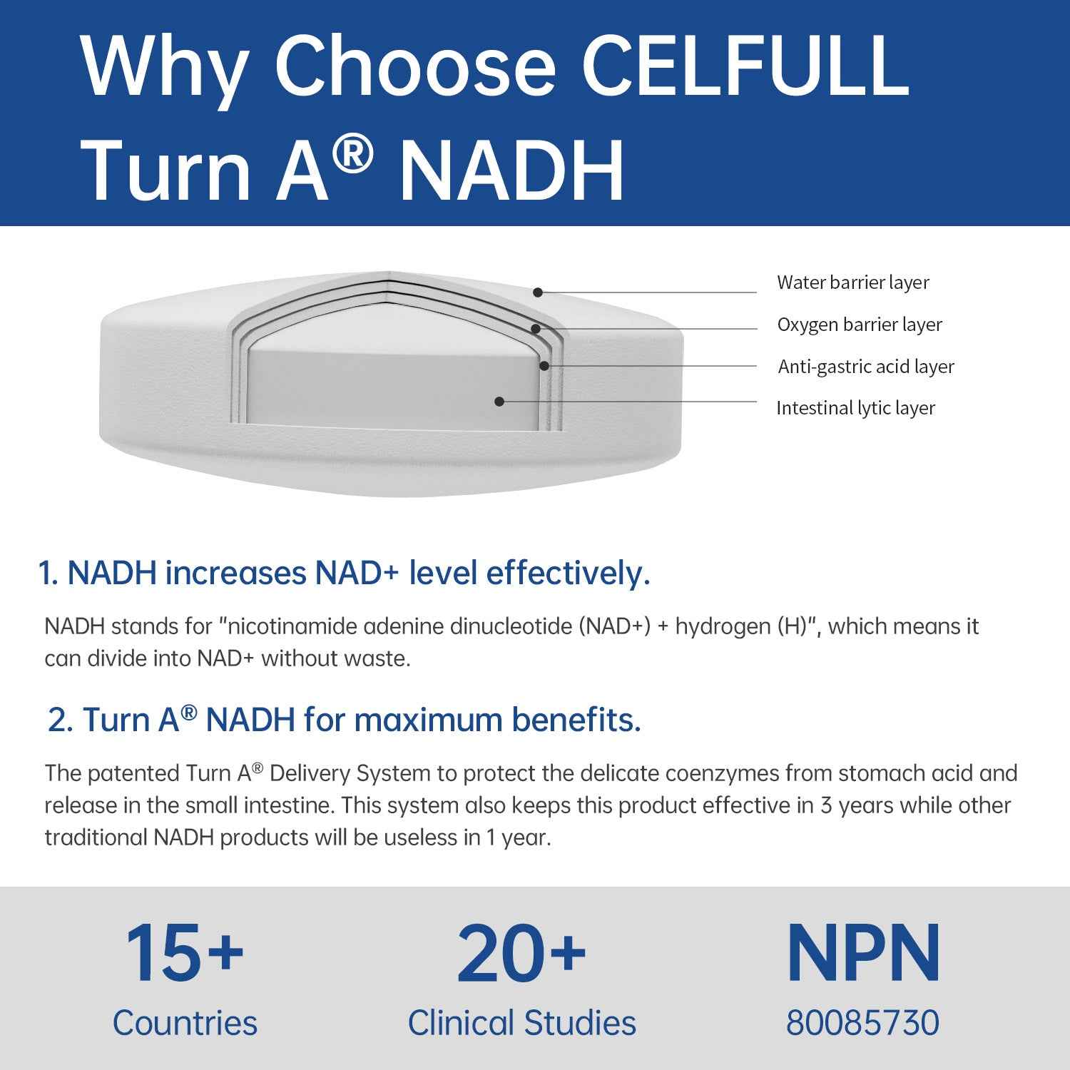 CELFULL NADH Immune Support Supplements, Boost Energy NAD+ Levels Anti-Aging for Women and Men