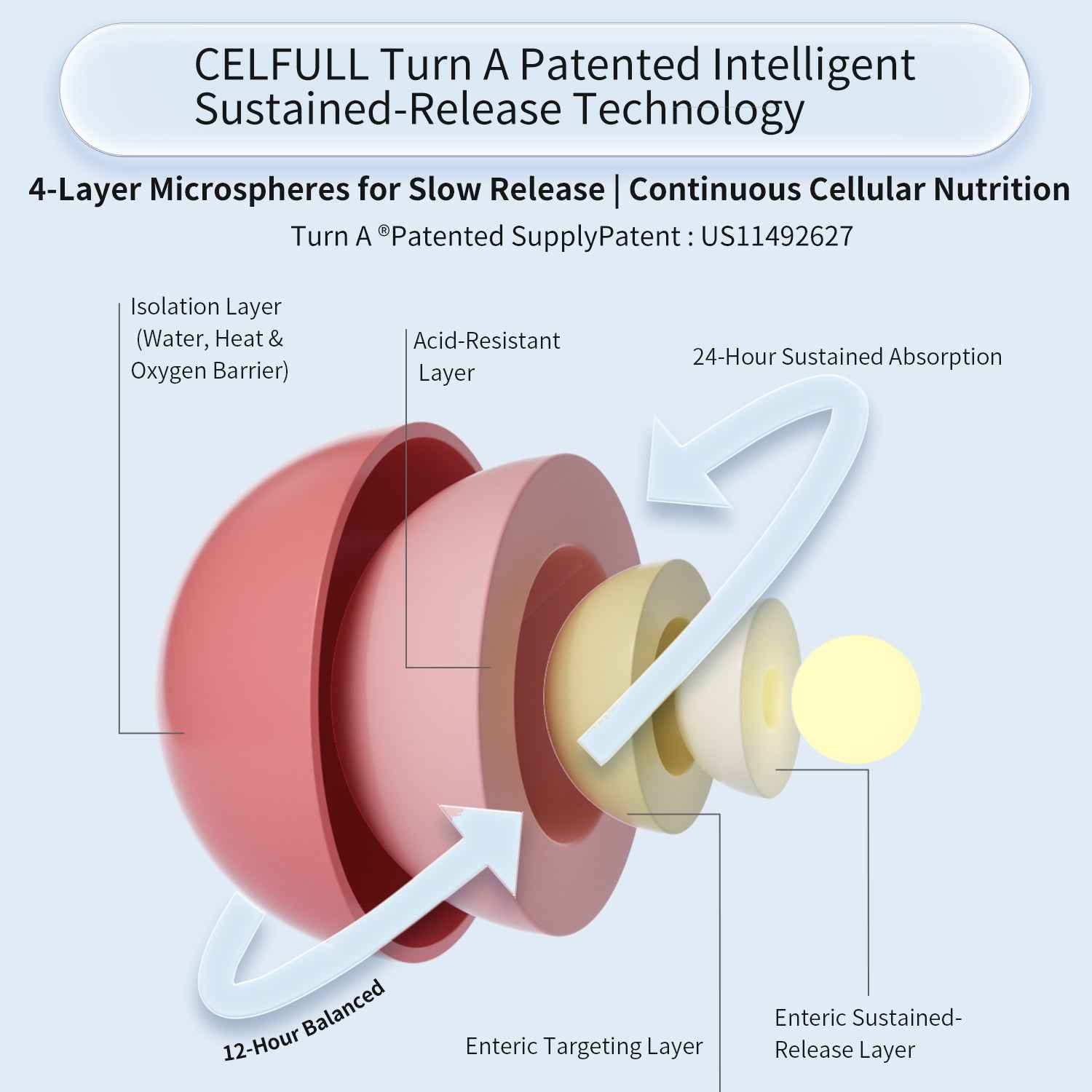CELFULL NAD+ up 12000 NAD+ Supplement for Immune Support Anti-Aging Boost Brain Cognition & Chronic Fatigue Supplements