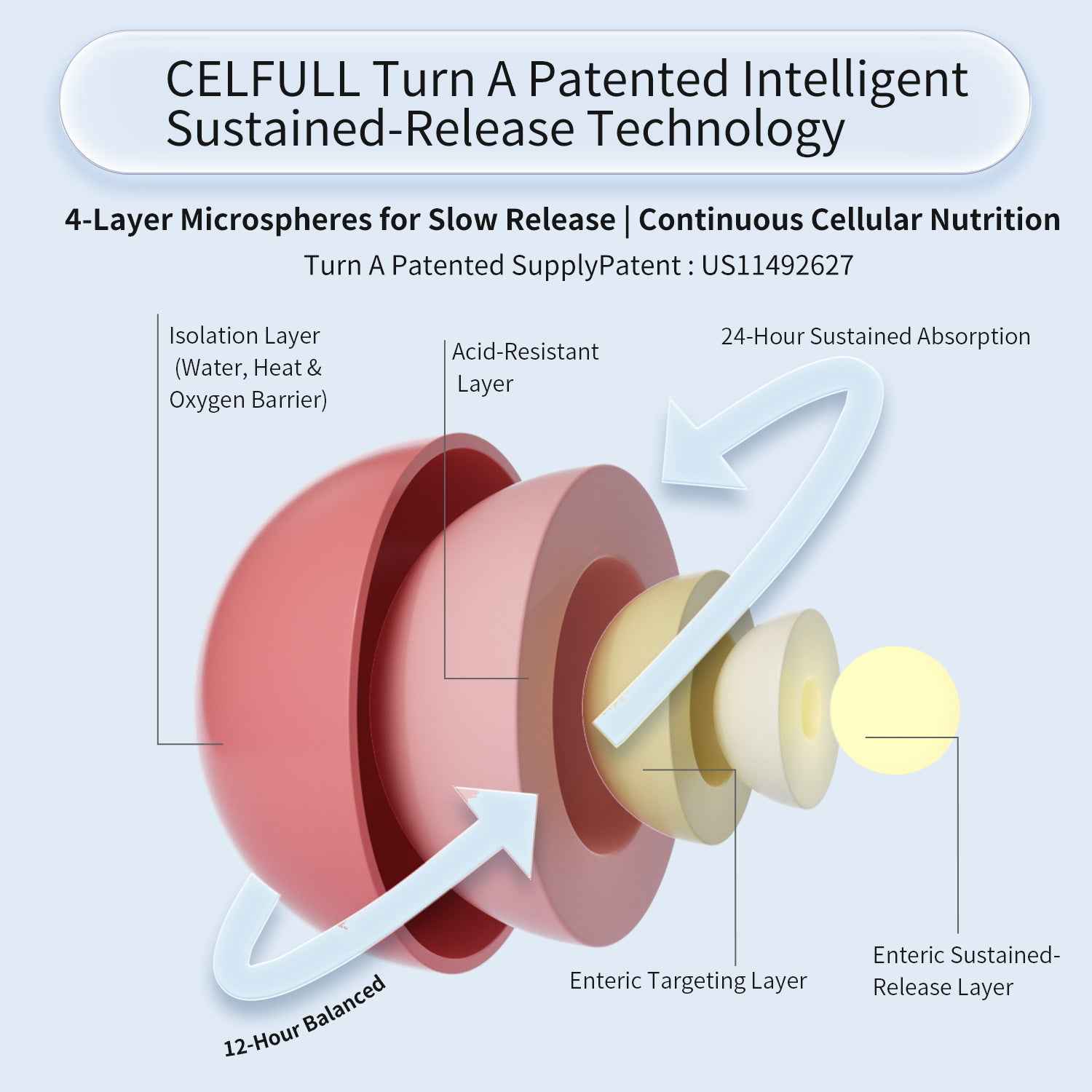 CELFULL NAD+ 9900 NAD+ Supplement for Immune Support Anti-Aging Boost Brain Cognition & Chronic Fatigue Supplements